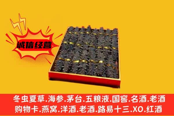 克东县回收海参